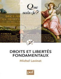Michel Levinet — Droits et libertés fondamentaux