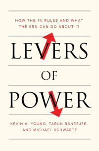 Kevin A. Young, Tarun Banerjee, Michael Schwartz — Levers of Power