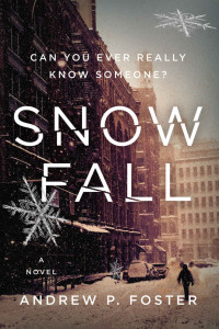 Andrew P Foster — Snow Fall