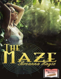 Breanna Hayse [Hayse, Breanna] — The Maze