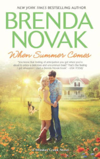 Brenda Novak — When Summer Comes