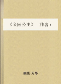 侧影芳华 — 《金陵公主》 作者：侧影芳华