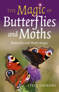 Steve Andrews — The Magic of Butterflies and Moths