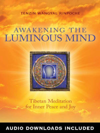 Tenzin Wangyal Rinpoche — Awakening the Luminous Mind: Tibetan Meditation for Inner Peace and Joy