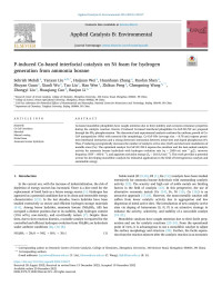 Sehrish Mehdi — P-induced Co-based interfacial catalysis on Ni foam for hydrogen generation from ammonia borane