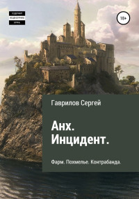 Сергей Юрьевич Гаврилов — Анх. Инцидент