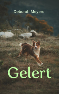 Deborah Meyers — Gelert