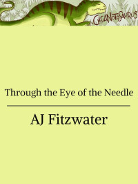 AJ Fitzwater — Through the Eye of the Needle