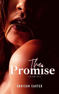 Addison Carter — The Promise (Love and lies Book 2)