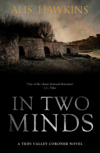 Alis Hawkins [Hawkins, Alis] — In Two Minds