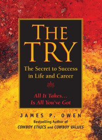 James P. Owen — The Try: The Secret to Success in Life and Career