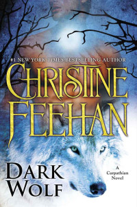 Christine Feehan [Feehan, Christine] — Dark Wolf