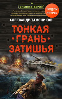 Александр Александрович Тамоников — Тонкая грань затишья