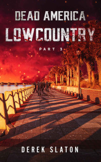 Derek Slaton — Dead America - Lowcountry Pt. 3