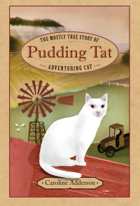 Caroline Adderson — The Mostly True Story of Pudding Tat, Adventuring Cat