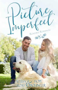 Alyssa Roat & Hope Bolinger — Picture Imperfect (Roseville, Michigan Romances 01)