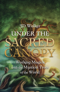 JD Walker — Under the Sacred Canopy