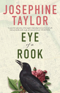 Josephine Taylor — Eye of a Rook