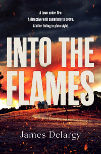 James Delargy — Into the Flames: The scorching new summer thriller