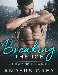 Grey, Anders — Breaking The Ice: Stray Hearts Book 1