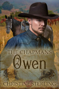 Christine Sterling — Owen (The Chapmans Book 1)