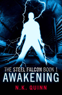 N. K. Quinn [Quinn, N. K.] — Awakening (The Steel Falcon #1)