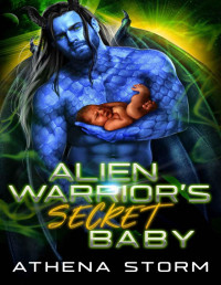 Athena Storm — Alien Warrior's Secret Baby: A SciFi Romance