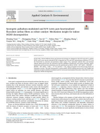 Wenjing Yuan — Synergetic palladium-modulated and B/N Lewis pair-functionalized flocculent carbon fibres as robust catalyst: Mechanism insight for indoor HCHO decomposition