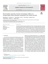 Wanqiang Yu — Electrocatalytic upcycling of nitrate and hydrogen sulfide via a nitrogen-doped carbon nanotubes encapsulated iron carbide electrode