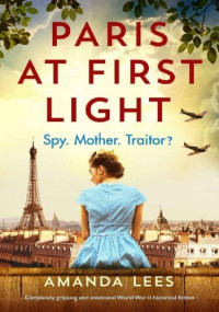 Amanda Lees — Paris at First Light