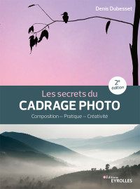 Denis Dubesset — Les secrets du cadrage photo: Composition – Pratique – Créativité