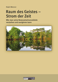 Ralph Metzner — Raum des Geistes - Strom der Zeit. Wie man seine Bewusstseinszustände verstehen und navigieren kann