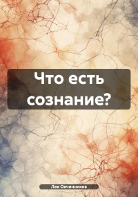 Лев Овчинников — Что есть сознание?