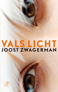 Joost Zwagerman — Vals licht