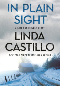 Linda Castillo — In Plain Sight