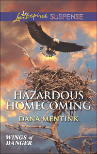 Dana Mentink — Hazardous Homecoming