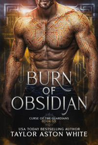 Taylor Aston White — Burn of Obsidian: A Dark Paranormal Romance (Curse of the Guardians Book 6)