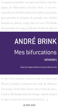 André Brink — Mes bifurcations