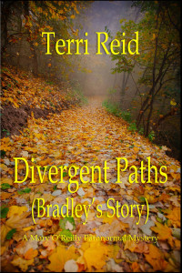 Terri Reid — Divergent Paths (Bradley's Story) : A Mary O'Reilly Paranormal Mystery