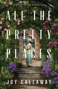 Joy Callaway — All the Pretty Places