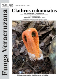 ARMANDO LOPEZ Y JUVENTINO GARCIA — FUNGA VERACRUZANA Clathrus columnatus