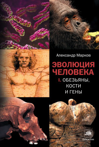 Александр Владимирович Марков — Эволюция человека. Книга I. Обезьяны, кости и гены