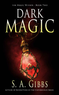 S.A Gibbs — Dark Magic (Magic Within Book 2)