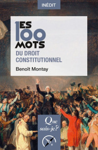 Benoît Montay — Les 100 mots du droit constitutionnel