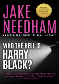 Jake Needham — Who the Hell is Harry Black?