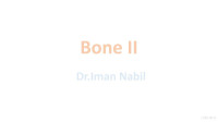 Iman Nabil — Bone Types