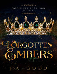 J.A. Good — Forgotten Embers (Forged in Fire Trilogy Book 1)