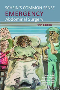 Danny Rosin, Paul N. Rogers, Mark Cheetham, Moshe Schein — Schein's Common Sense Emergency Abdominal Surgery