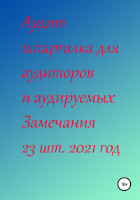 Галина Сергеевна Ненашева — Аудит шпаргалка для аудиторов и аудируемых. Замечания 23 шт. за 2021 год