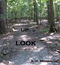 A.S. Morrison — Look Up